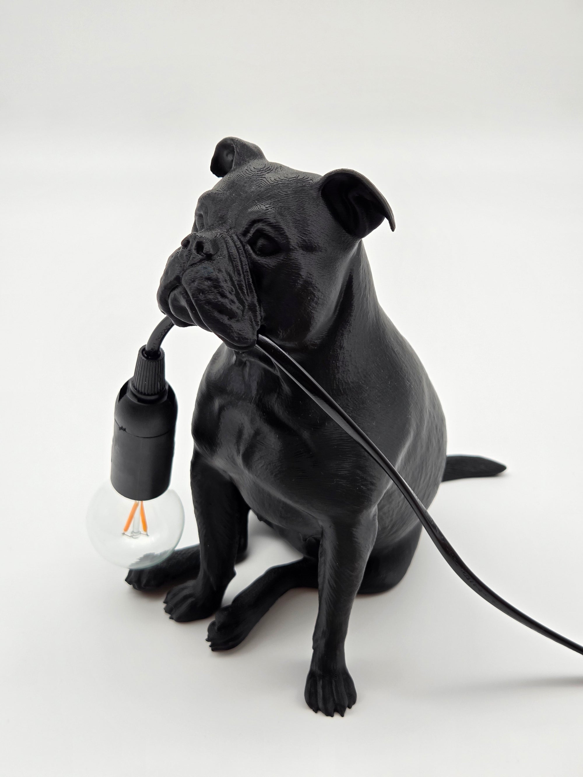 Molly - Engelsk Bulldogg