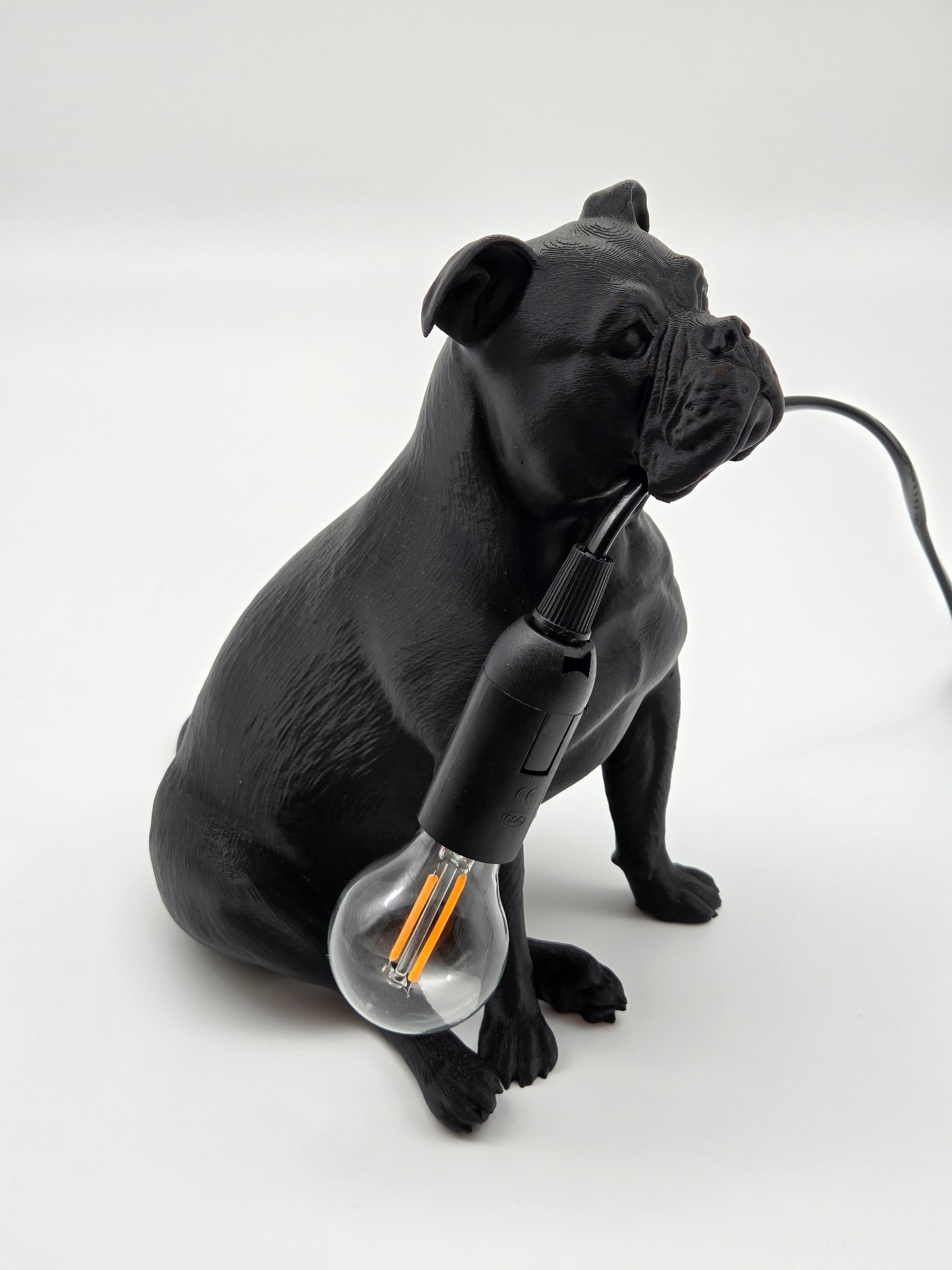 Molly - Engelsk Bulldogg