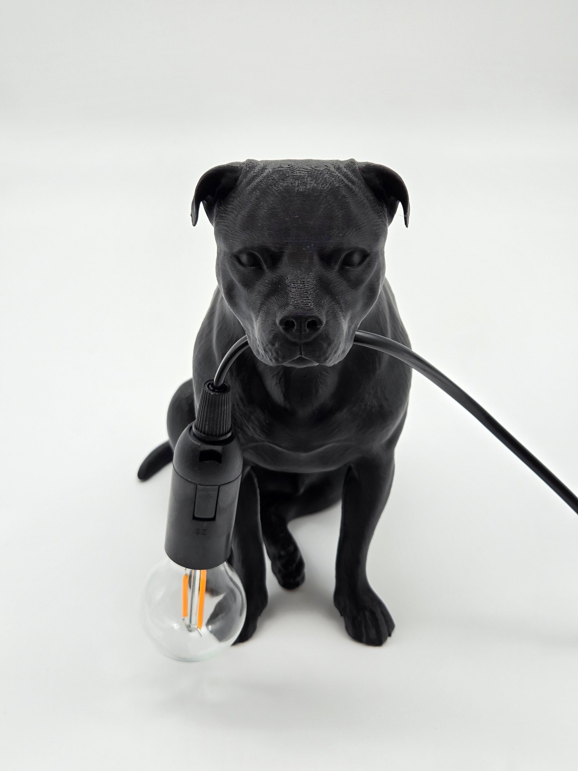 Tyson - Staffordshire Bullterrier