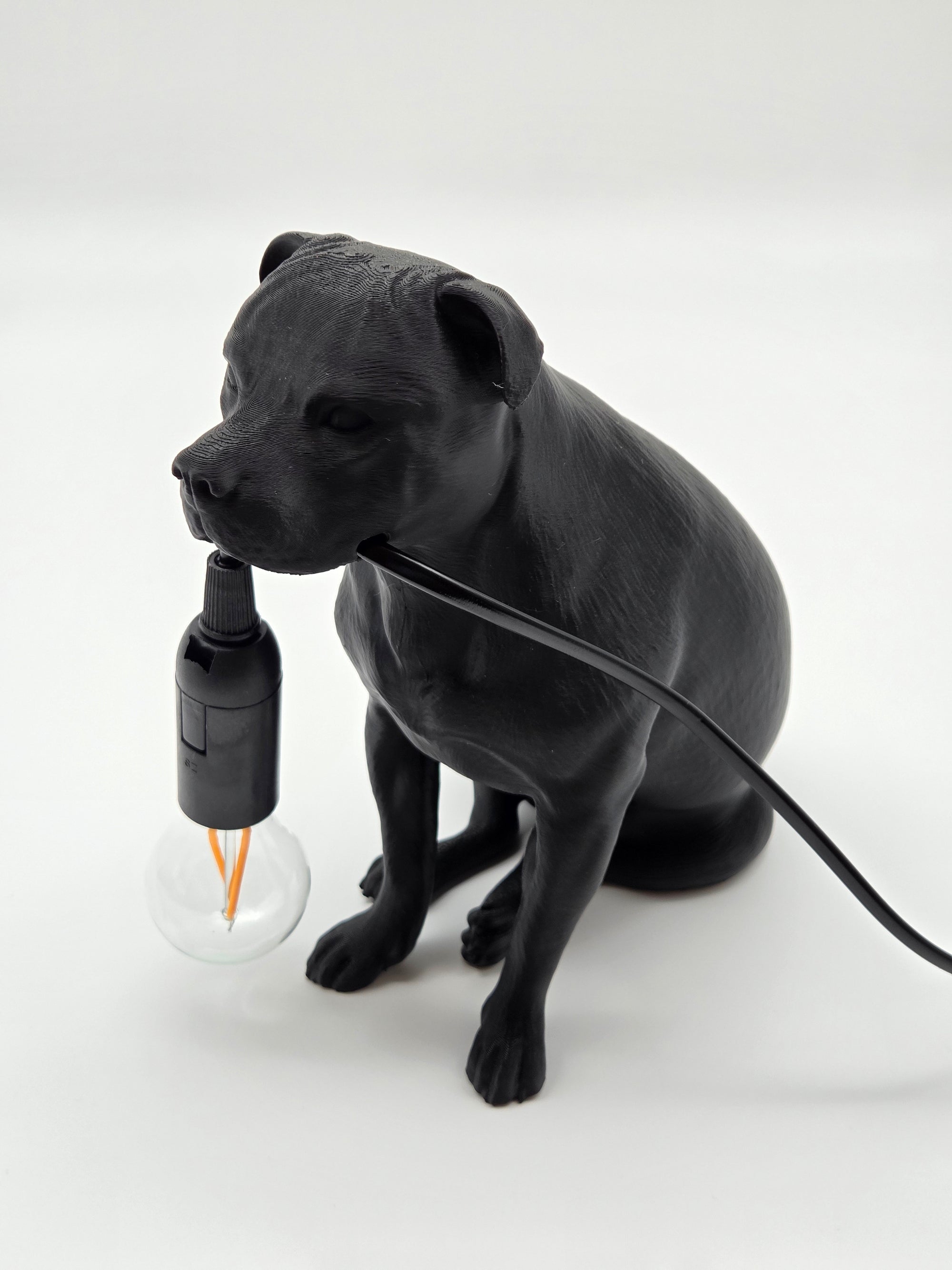 Tyson - Staffordshire Bullterrier