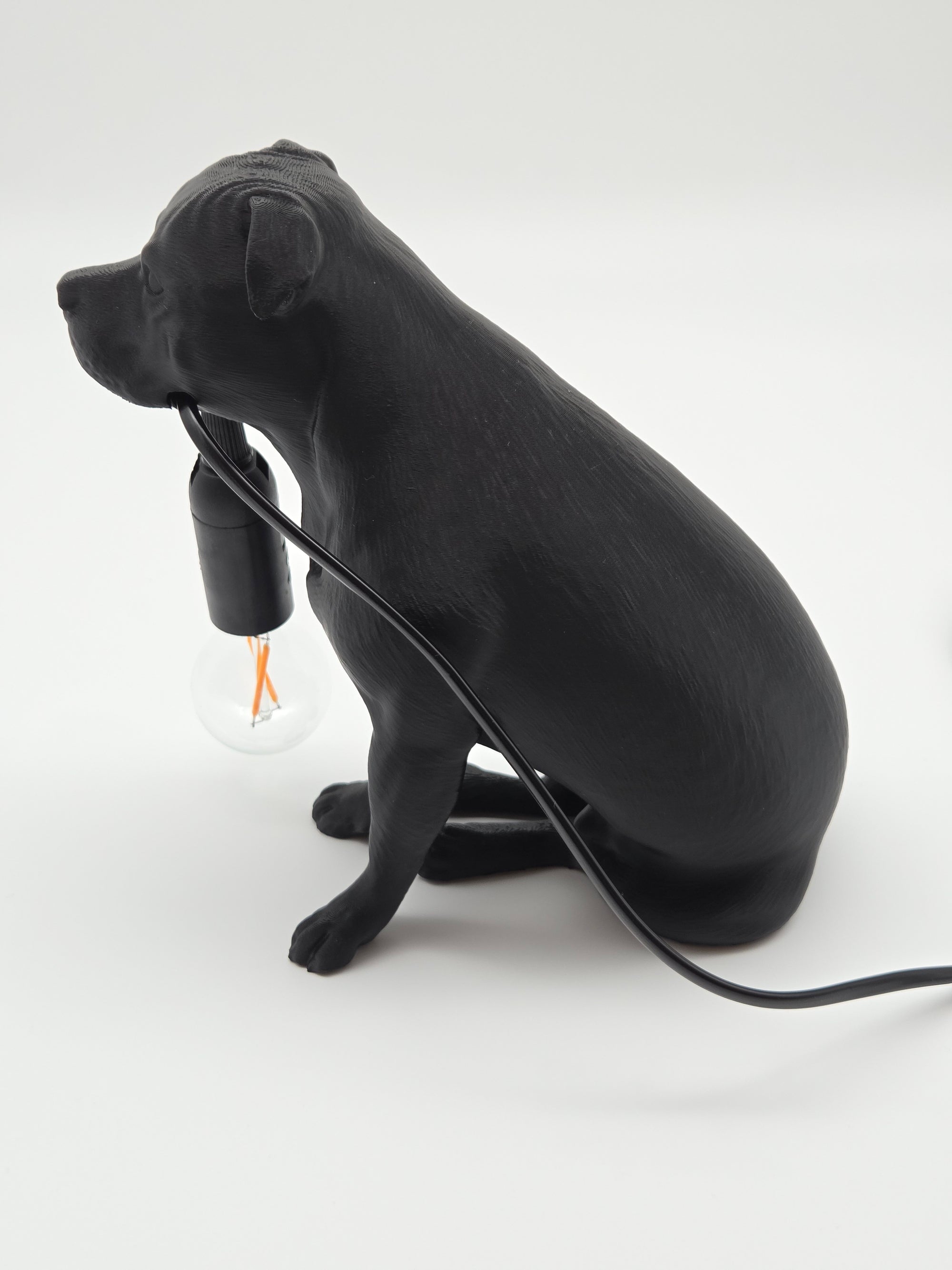 Tyson - Staffordshire Bullterrier