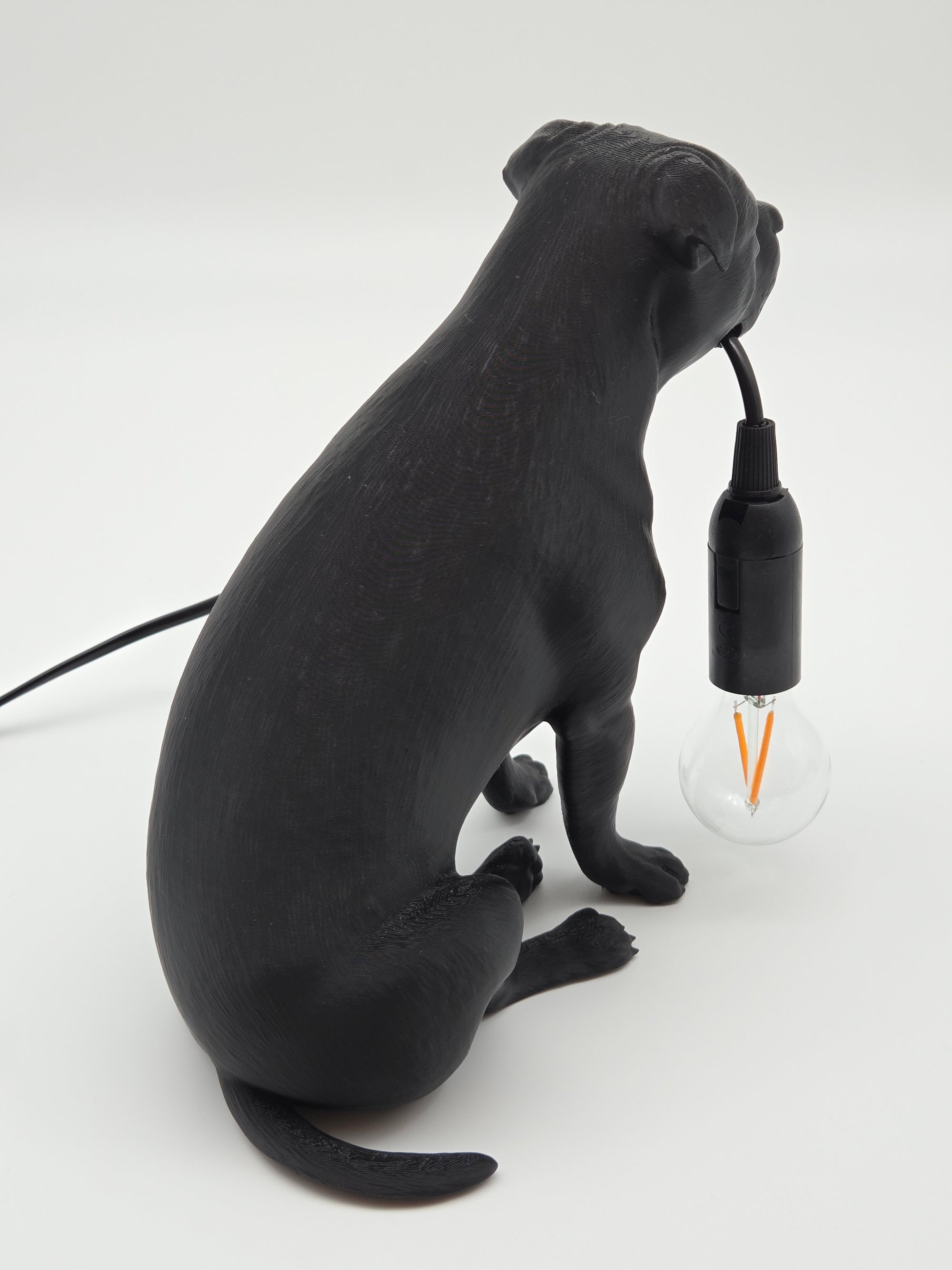 Tyson - Staffordshire Bullterrier