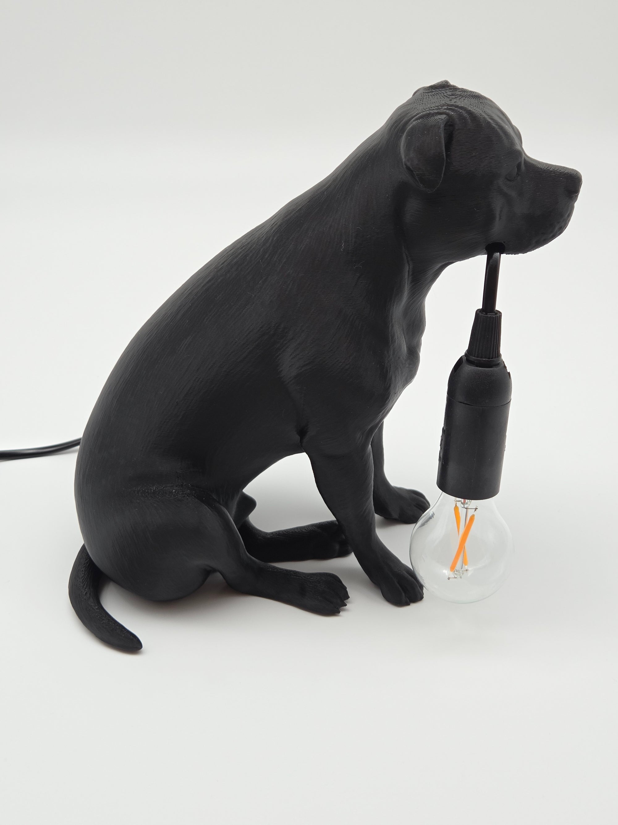 Tyson - Staffordshire Bullterrier