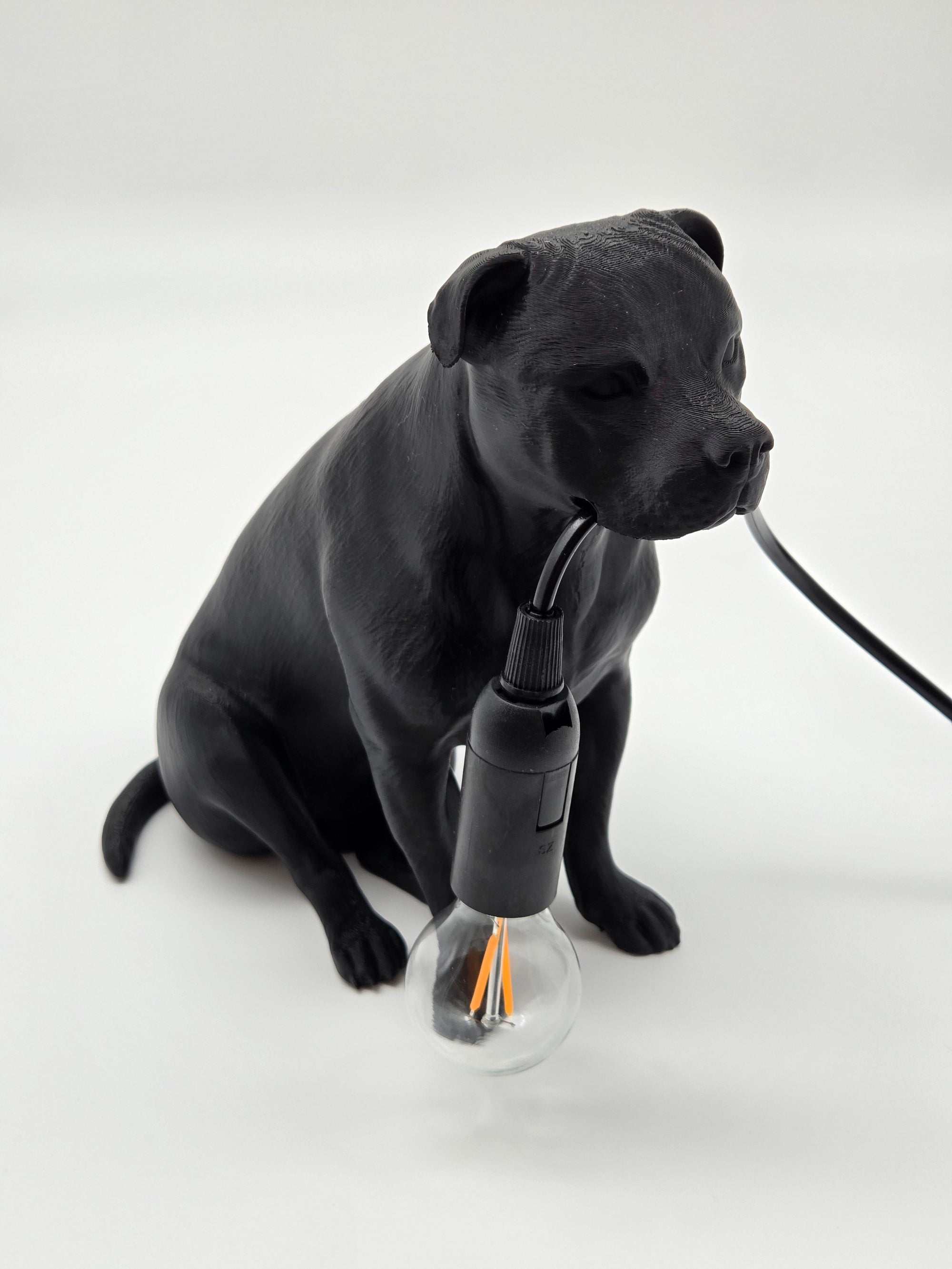 Tyson - Staffordshire Bullterrier