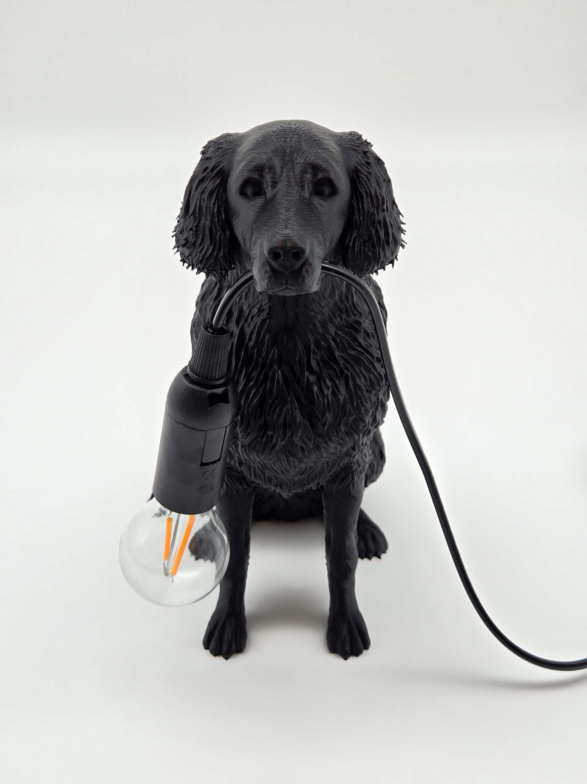Lassie - Flatcoated Retriever