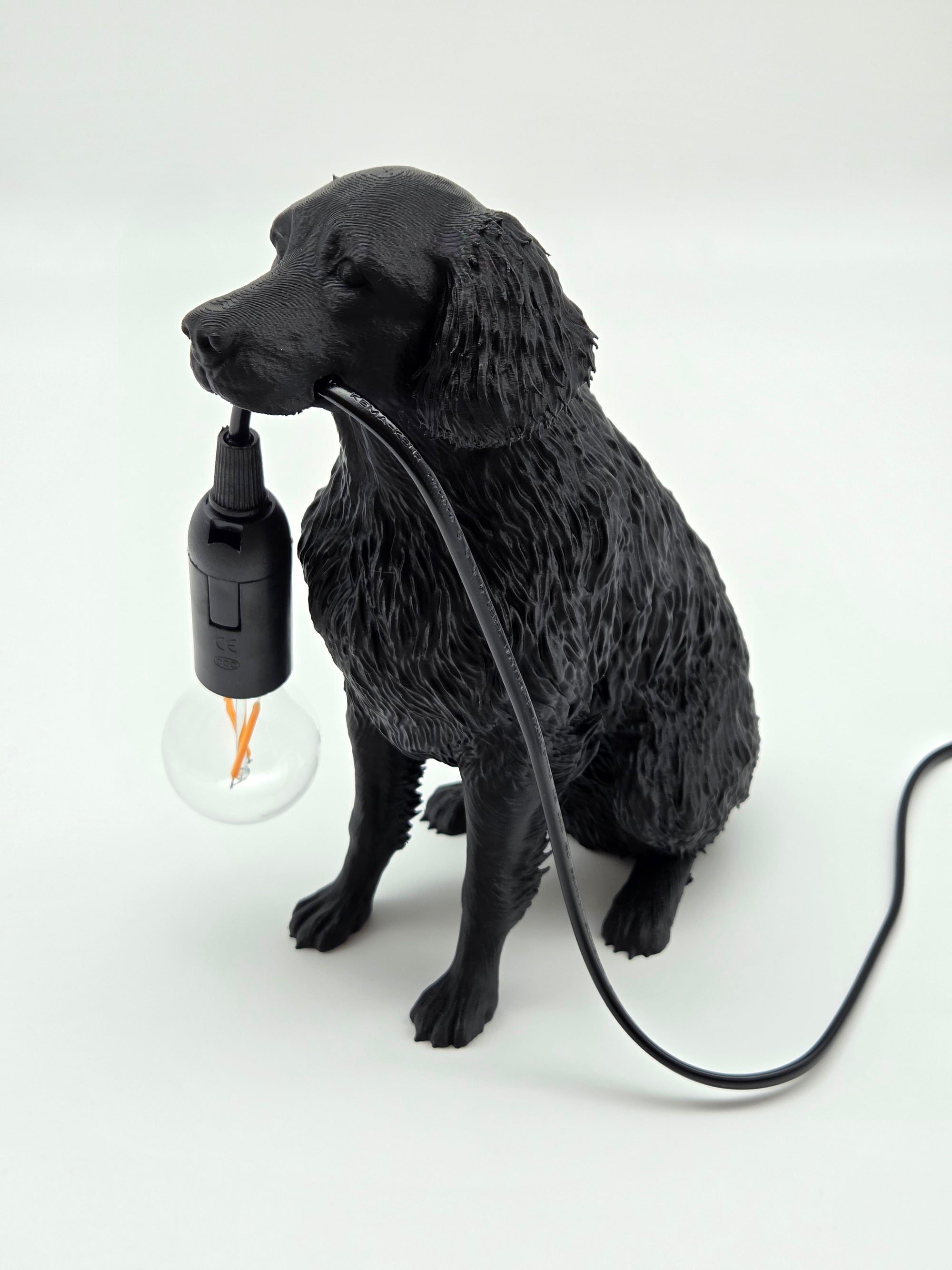 Lassie - Flatcoated Retriever