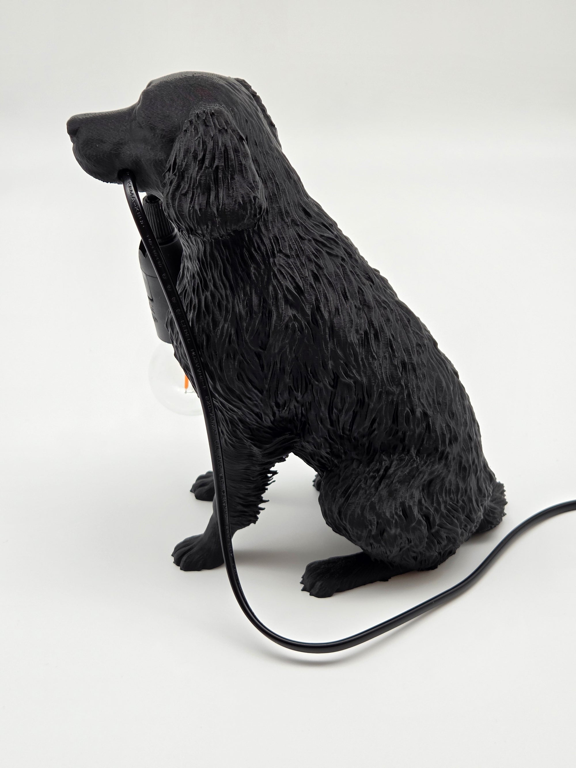 Lassie - Flatcoated Retriever