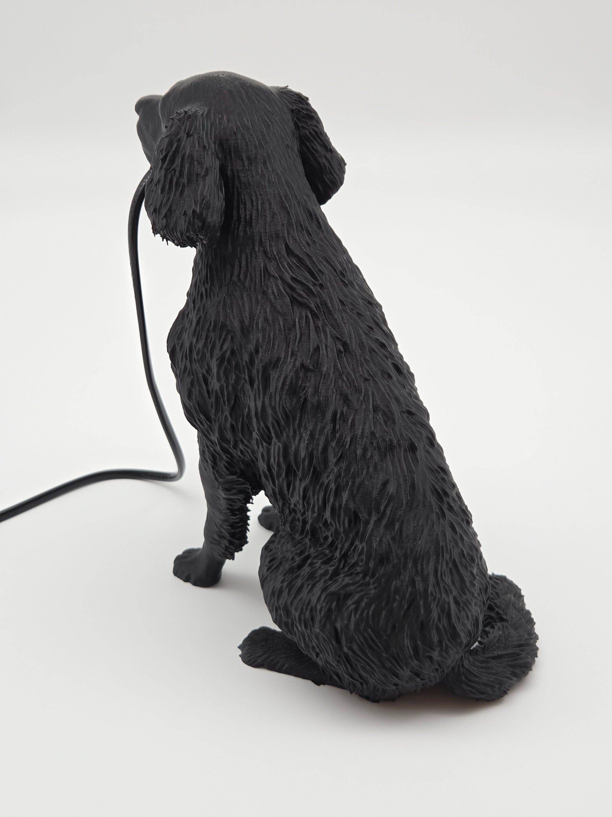 Lassie - Flatcoated Retriever