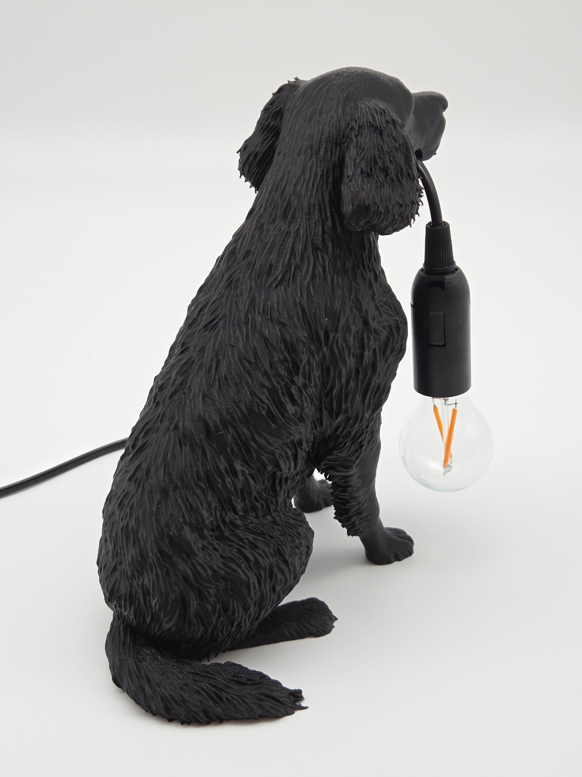 Lassie - Flatcoated Retriever
