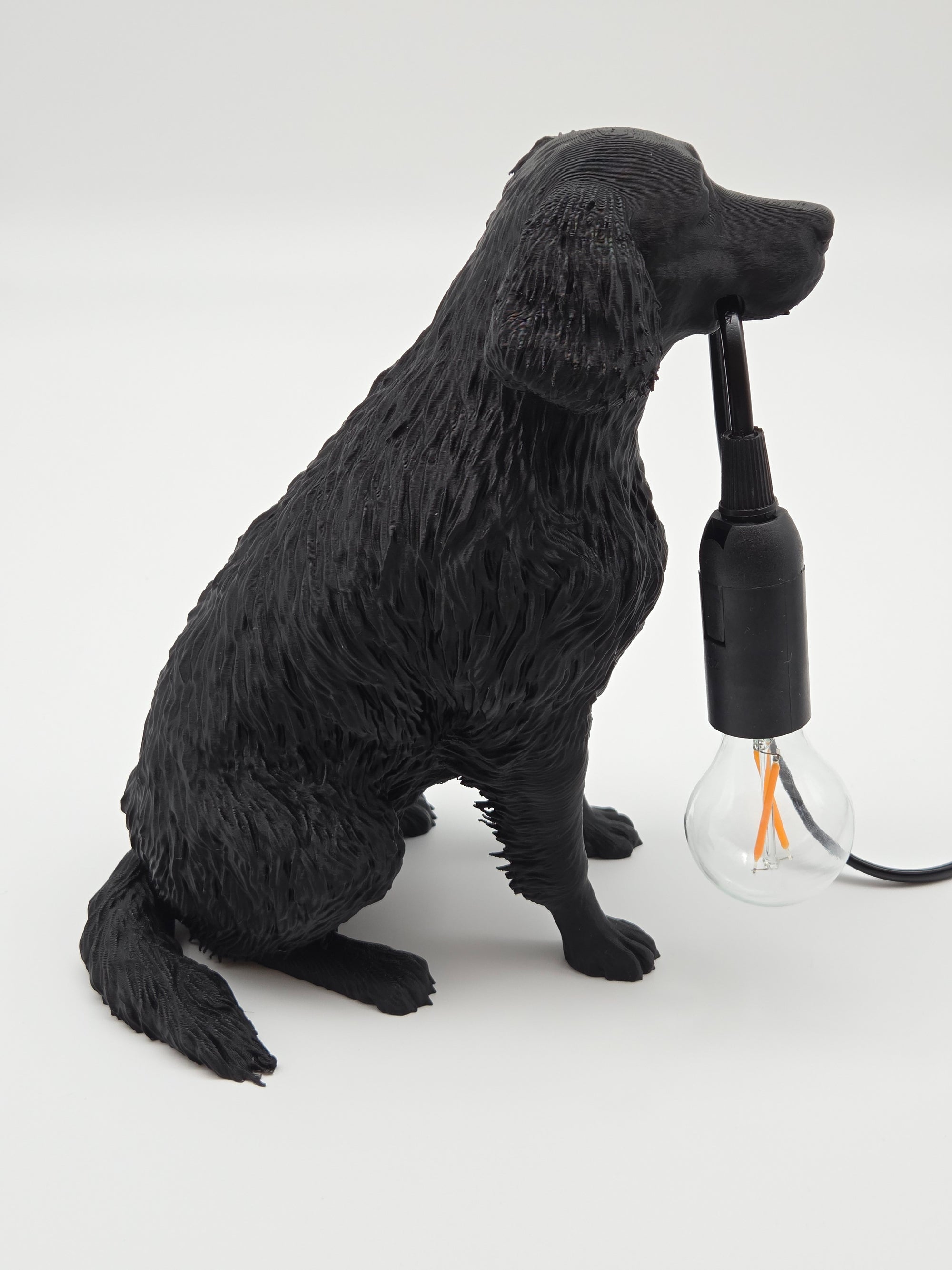 Lassie - Flatcoated Retriever