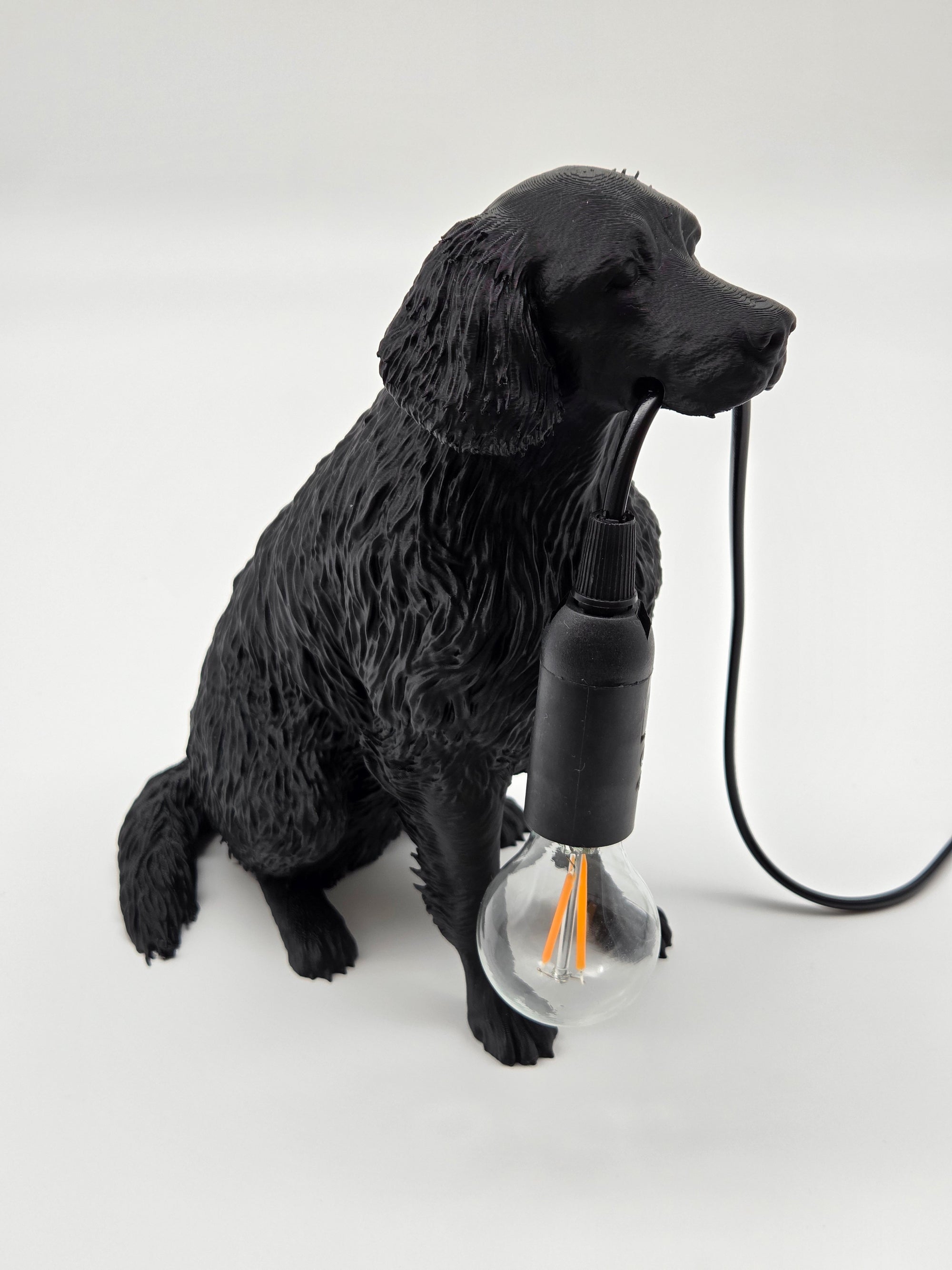 Lassie - Flatcoated Retriever